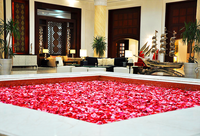 Premier Le Reve Hotel & Spa 5* (adults only) - last minute by Perfect Tour - 21