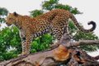 Tanzania autentica - safari 8 zile by Perfect Tour - 16