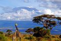 Tanzania autentica - safari 8 zile by Perfect Tour - 4