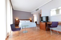 Tryp Madrid Cibeles Hotel 4* by Perfect Tour - 18