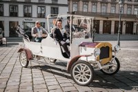 Vizitarea obiectivelor turistice în Viena într-o mașină de epocă electrică by Perfect Tour - 5