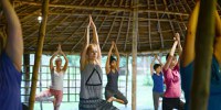 Wellness & Relax - Kairali Ayurvedic Health Resort 3* by Perfect Tour - 10