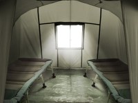 Cort Delphin PANORAMA Eazy - 4