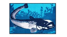 Covor Delphin CatchME! Somn, 60x40cm