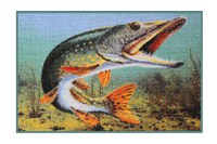 Covor Delphin Stiuca 3D, 60x40cm - 1