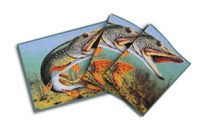 Covor Delphin Stiuca 3D, 60x40cm - 2