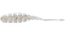 Grub Mustad Aji Micro Naf, Clear Lum Meli Melo, 5cm, 10buc/plic