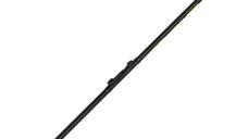Lanseta Bologneza Delphin XAWER TeleFLOAT, 3.60m, 30g