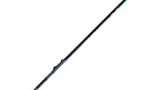 Lanseta Bologneza Delphin Xenox, 5.00m, 30g