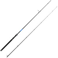 Lanseta Delphin Gamer, 2.55m, 40g, 2 tronsoane - 1