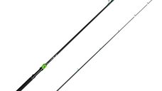 Lanseta Delphin GreenCode, 2.55m, 40g, 2 tronsoane