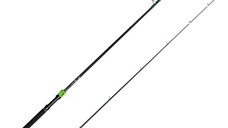 Lanseta Delphin GreenCode, 2.55m, 40g, 2 tronsoane