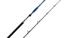 Lanseta Delphin Hazard, 2.55m, 500g, 2 tronsoane