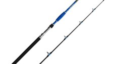 Lanseta Delphin Hazard, 2.55m, 500g, 2 tronsoane