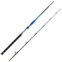 Lanseta Delphin Hazard, 2.55m, 500g, 2 tronsoane - 1