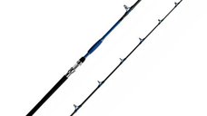 Lanseta Delphin Hazard, 2.85m, 500g, 2 tronsoane