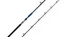 Lanseta Delphin Hazard, 3.10m, 500g, 2 tronsoane