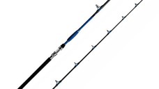 Lanseta Delphin Hazard, 3.10m, 500g, 2 tronsoane