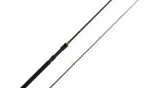 Lanseta Delphin Murena, 2.10m, 100g, 2 tronsoane