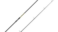 Lanseta Delphin Partisan Carp, 3.60m, 3.5lbs, 2 tronsoane
