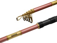 Lanseta Delphin Queen Tele 300cm, 50g - 2