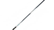 Lanseta Formax Flame Bolo, 4,00m, 0-20g
