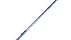 Lanseta Formax Thunder NG Bolo 6m, 0-20g - Pescuit de calitate