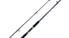 Lanseta Lineaeffe Caspian Pro Rod 2.70m, 100-250g, 2 tronsoane
