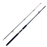 Lanseta Lineaeffe Caspian Pro Rod 2.70m, 100-250g, 2 tronsoane - 1