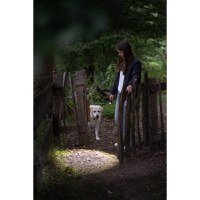 Lanterna reincarcabila Ledlenser P5R Core, 500 lumeni - 2