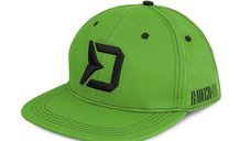 Sapca Delphin RAWER Snapback