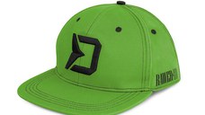 Sapca Delphin RAWER Snapback