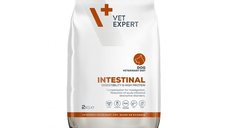 4T Dieta Veterinara Intestinal Dog, Vetexpert, 2 Kg
