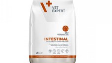 4T Dieta Veterinara Pisici Intestinal Cat, Vetexpert, 2 kg