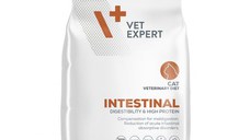 4T Dieta Veterinara Pisici Intestinal Cat, Vetexpert, 250 g