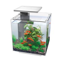 Acvariu Hailea QUBIQ 30 LED - alb - 1