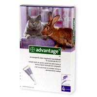 Advantage 80 Cat/ Rabbit x 4 Pipete - 1
