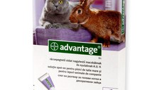 Advantage 80 Cat/ Rabbit x 4 Pipete