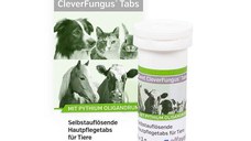 Alfavet Clever Fungus Tabs, 10 x 3 g