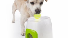 All For Paws, Dispenser Interactiv pentru Recompense, 16x16x20 cm