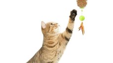 All For Paws, Dispenser Interactiv pentru Recompense Pisici