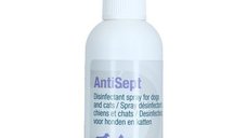 Antisept, 100 ml