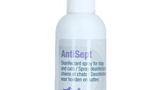 Antisept, 100 ml