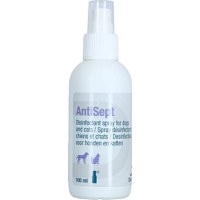 Antisept, 100 ml - 1