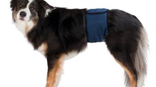 Banda (Incontinenta Urinara) Masculi M 45-55 cm Albastru 23663