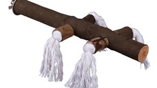 Bat Creanga Natur Colvie 25 cm 5889