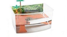 Bazin pentru broaste testoase, 27x19x15 cm
