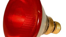 Bec Infrarosu LED Economy 100 W Rosu, Albert Kerbl