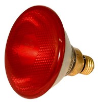 Bec Infrarosu LED Economy 100 W Rosu, Albert Kerbl - 1