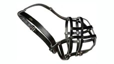 Botnita caine piele - shar-pei